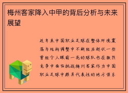 梅州客家降入中甲的背后分析与未来展望